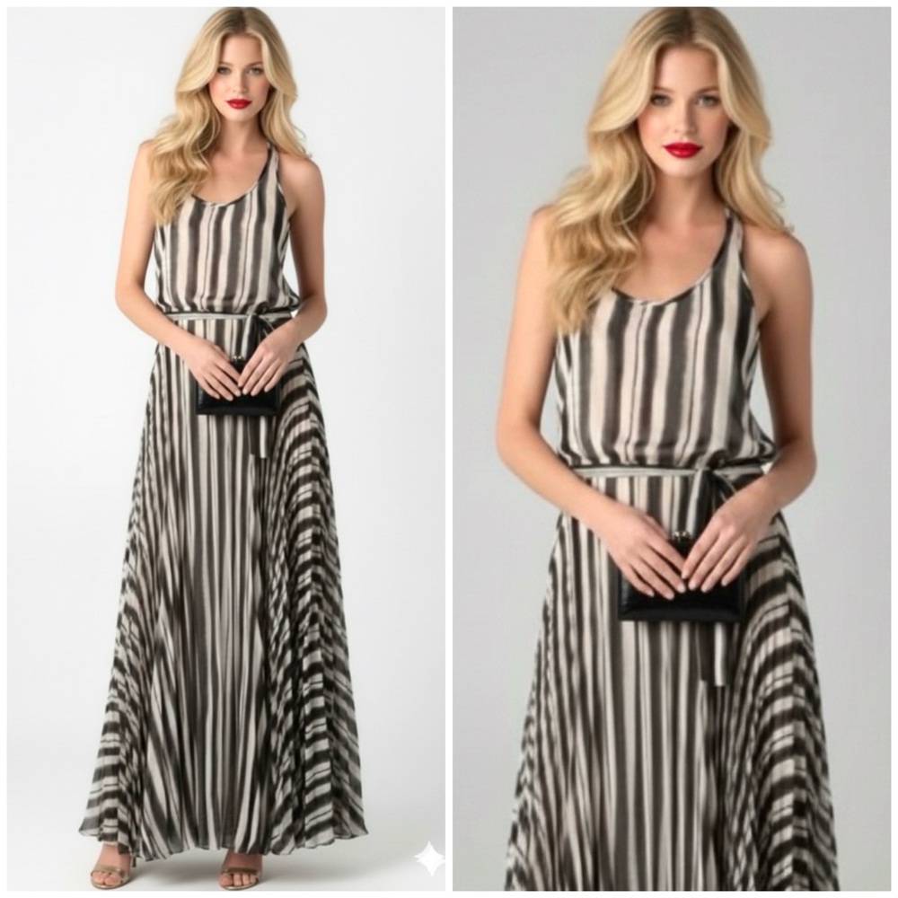 Parker Pleated Maxi Dress Great for Weddings Cocktail Parties Size XS MSRP $268